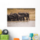 African Elephant Wall Mural