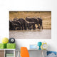 African Elephant Wall Mural