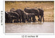 African Elephant Wall Mural