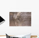 African Elephant Wall Mural