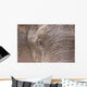 African Elephant Wall Mural