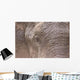 African Elephant Wall Mural