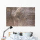 African Elephant Wall Mural