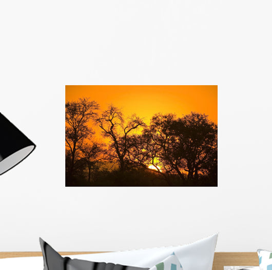 Sunset, Sabi Sand Reserve, Mpumalanga, South Africa, Africa Wall Mural