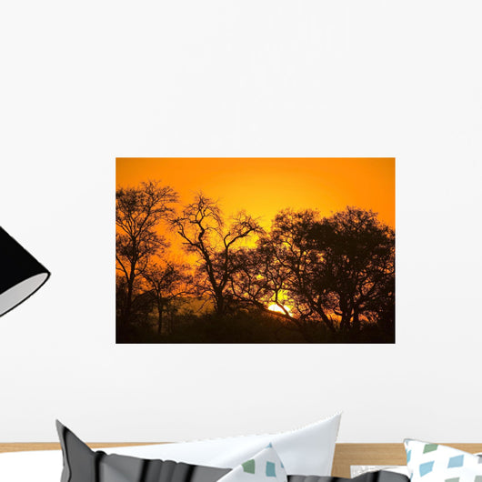 Sunset, Sabi Sand Reserve, Mpumalanga, South Africa, Africa Wall Mural