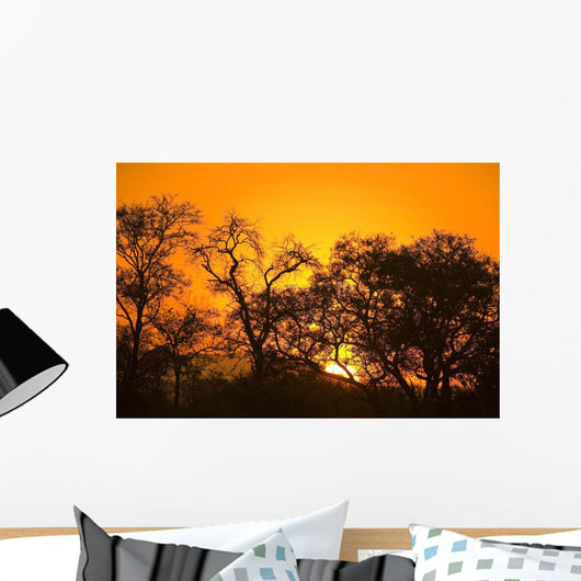 Sunset, Sabi Sand Reserve, Mpumalanga, South Africa, Africa Wall Mural