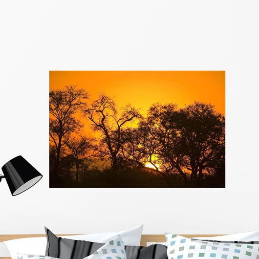 Sunset, Sabi Sand Reserve, Mpumalanga, South Africa, Africa Wall Mural