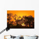 Sunset, Sabi Sand Reserve, Mpumalanga, South Africa, Africa Wall Mural