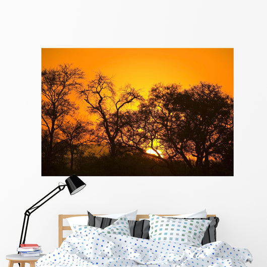 Sunset, Sabi Sand Reserve, Mpumalanga, South Africa, Africa Wall Mural