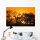 Sunset, Sabi Sand Reserve, Mpumalanga, South Africa, Africa Wall Mural