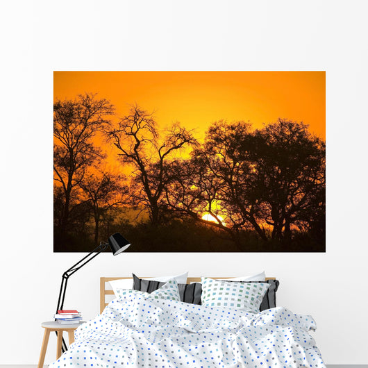Sunset, Sabi Sand Reserve, Mpumalanga, South Africa, Africa Wall Mural