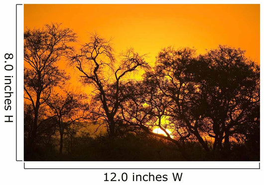 Sunset, Sabi Sand Reserve, Mpumalanga, South Africa, Africa Wall Mural