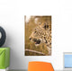 Leopard Wall Mural