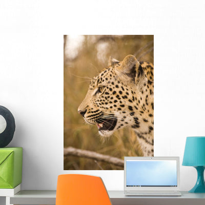 Leopard Wall Mural shown on a wall