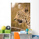 Leopard Wall Mural