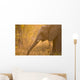 African Elephant Wall Mural