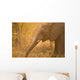 African Elephant Wall Mural