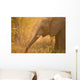 African Elephant Wall Mural