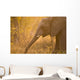 African Elephant Wall Mural