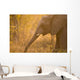 African Elephant Wall Mural