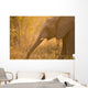 African Elephant Wall Mural
