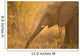 African Elephant Wall Mural