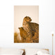 Leopard Wall Mural