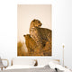 Leopard Wall Mural