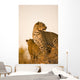 Leopard Wall Mural