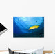 Yellowtail Snapper, Molokini Crater, South Maui, Hawaii, Usa Wall Mural