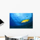 Yellowtail Snapper, Molokini Crater, South Maui, Hawaii, Usa Wall Mural