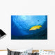 Yellowtail Snapper, Molokini Crater, South Maui, Hawaii, Usa Wall Mural
