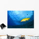 Yellowtail Snapper, Molokini Crater, South Maui, Hawaii, Usa Wall Mural