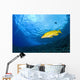 Yellowtail Snapper, Molokini Crater, South Maui, Hawaii, Usa Wall Mural