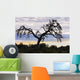 Camel Thorn Tree, Tanzania, Africa Wall Mural