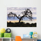 Camel Thorn Tree, Tanzania, Africa Wall Mural