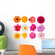 Flowers Decorative Collection Wall Mural