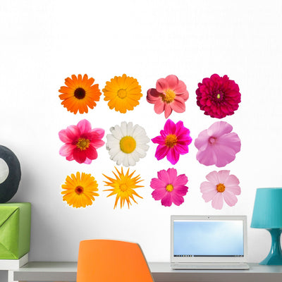 Flowers Decorative Collection Wall Mural shown on a wall