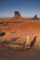 Monument Valley, Kayenta, Arizona, Usa Wall Mural