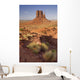 Monument Valley, Colorado Plateau, Arizona, Utah, Usa Wall Mural
