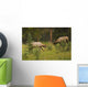 Bull Elk Fighting, Banff National Park, Banff, Alberta, Canada Wall Mural