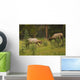 Bull Elk Fighting, Banff National Park, Banff, Alberta, Canada Wall Mural