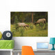 Bull Elk Fighting, Banff National Park, Banff, Alberta, Canada Wall Mural