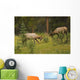 Bull Elk Fighting, Banff National Park, Banff, Alberta, Canada Wall Mural