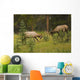 Bull Elk Fighting, Banff National Park, Banff, Alberta, Canada Wall Mural