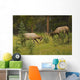 Bull Elk Fighting, Banff National Park, Banff, Alberta, Canada Wall Mural