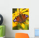 Peacock Butterfly Wall Mural