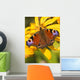 Peacock Butterfly Wall Mural