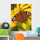 Peacock Butterfly Wall Mural