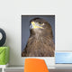 Golden Eagle Wall Mural